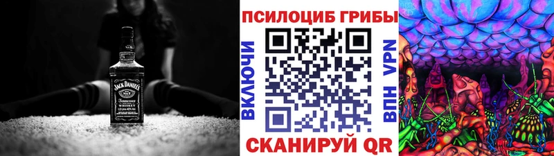 Псилоцибиновые грибы MAGIC MUSHROOMS  Динская 