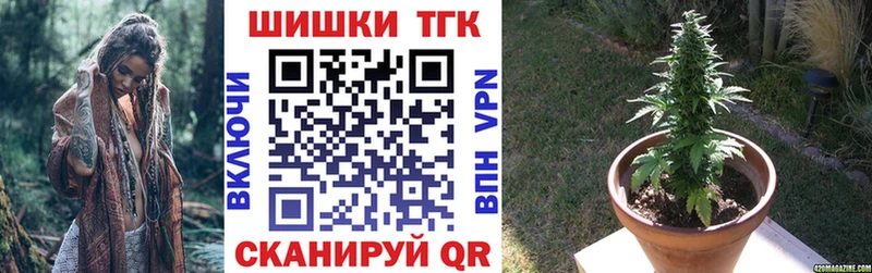 Конопля семена  Динская 